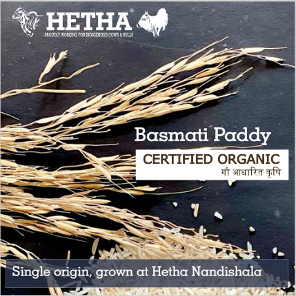Hetha Basmati Paddy